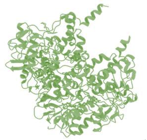 Die Kristallstruktur der menschlichen Monoaminoxidase B (MAO-B) im Komplex mit Rosiglitazon
