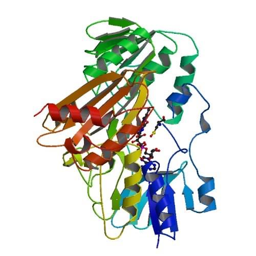 Die Kristallstruktur der NADH-Peroxidase mit Cystein-Sulfeninsäure.