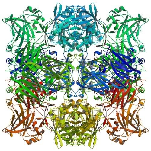 Die Struktur der Protocatechuat 3,4-Dioxygenase, die mit 3-Hydroxybenzoat komplexiert ist.