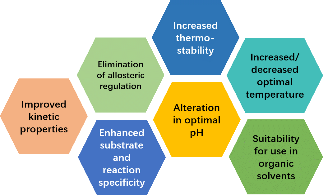 Enzymengineering und -modifikation-(2)