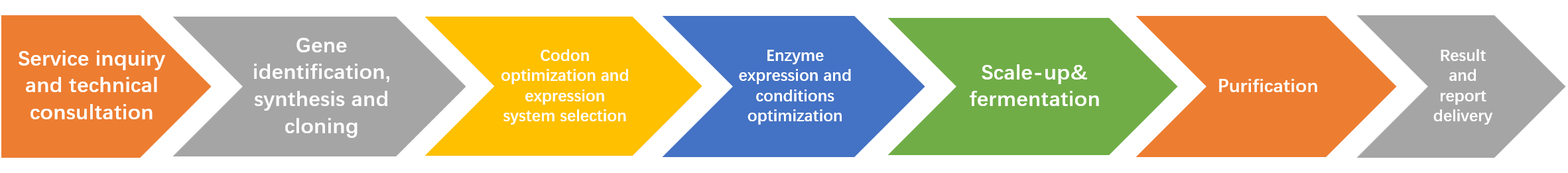 Workflow des Enzymexpressionsdienstes