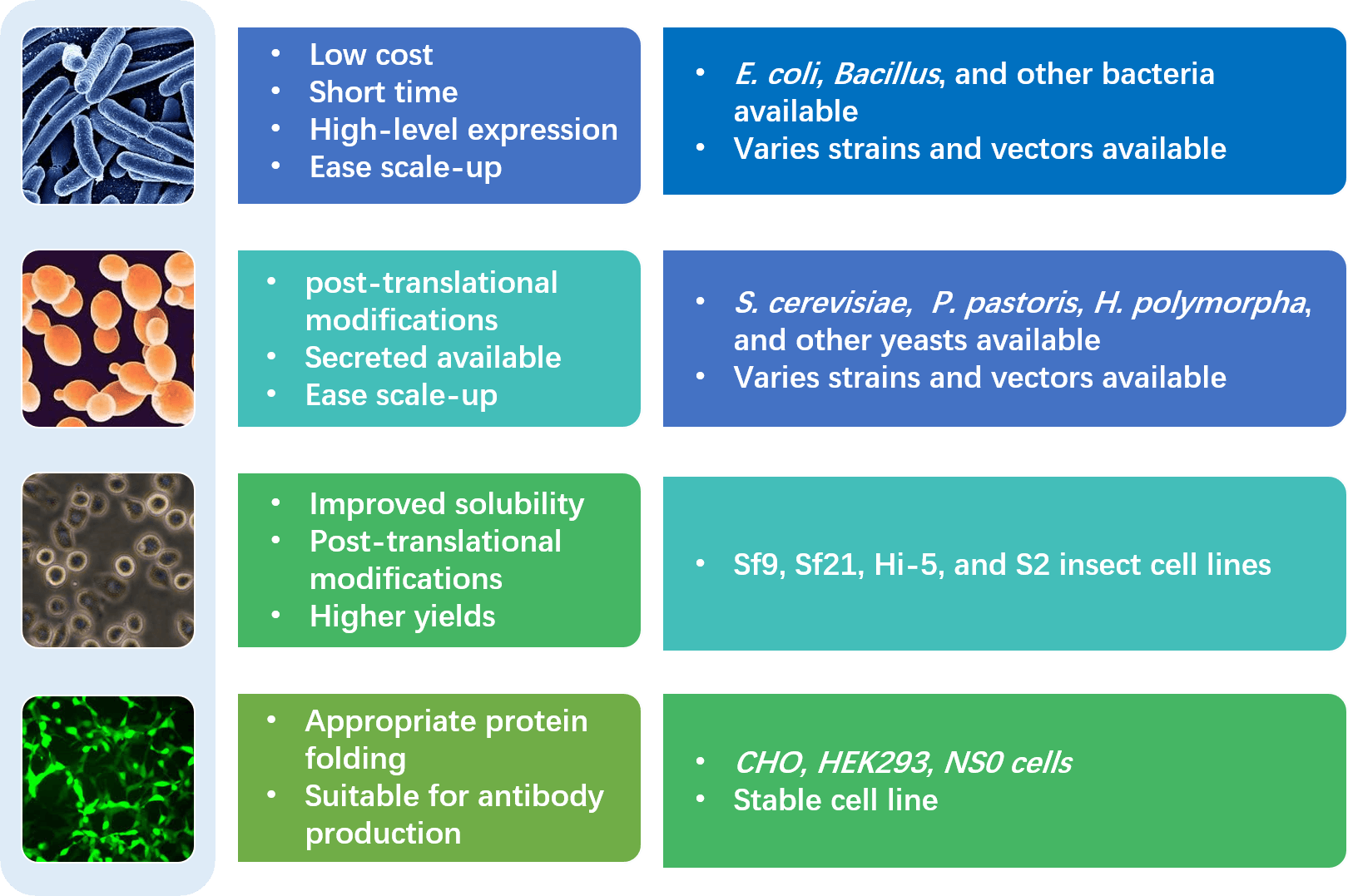 Expressionssysteme für Enzyme in Creative Enzymes
