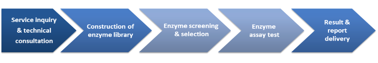 Workflow der Enzym-Screening-Dienste