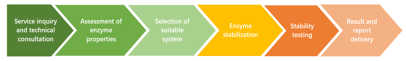 Enzymstabilisierung Arbeitsablauf