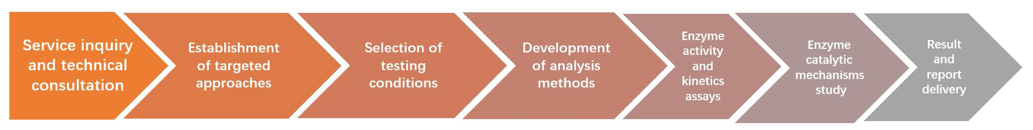 Workflow der enzymologischen Assays