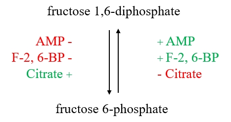 Umwandlung zwischen Fructose 1,6-Diphosphat und Fructose 6-Phosphat
