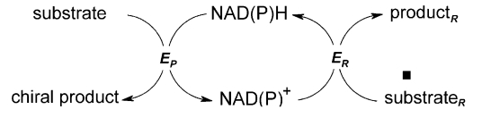 Allgemeines Schema der NAD(P)H-Regeneration für die kofaktor-gekoppelte enzymatische Synthese von optisch aktiven Verbindungen