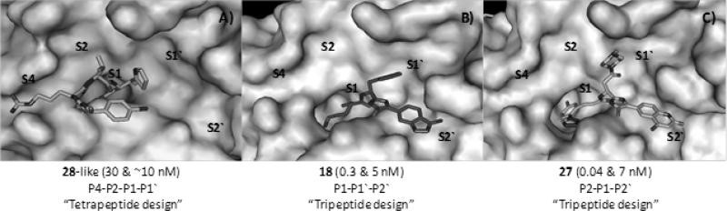 Ko-Kristallstrukturen für Komplexe von FXIa mit 3 aktiven Stelleninhibitoren, die verschiedene verwendete Entwurfsansätze zeigen