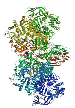 Enzymaktivitätsmessung der Formylmethanofuran-Dehydrogenase