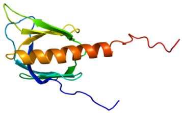 G protein-coupled receptor kinase (GRKs)