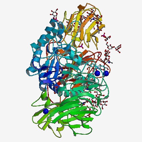 Proteinstruktur von β-Galactosidase.