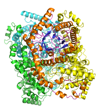 Glukose-Isomerase