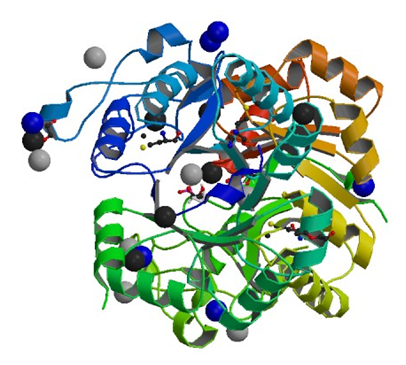 Enzymaktivitätsmessung für Glycerophosphocholin-Phosphodiesterase