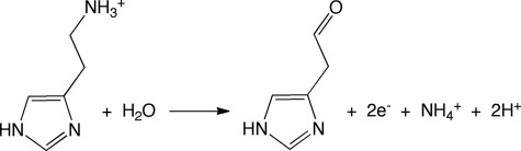 Schema 1