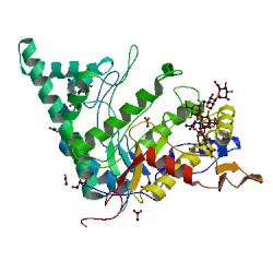 Proteinstruktur der Hyaluronsäure-Synthase.