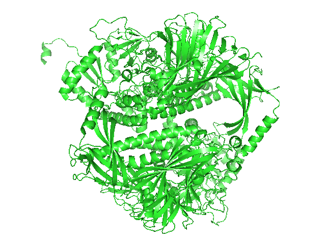 Proteinstruktur der Invertase.