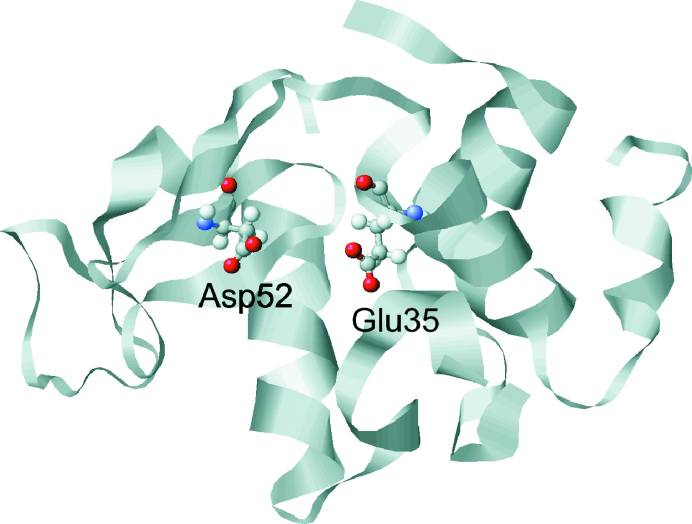  Lysozym