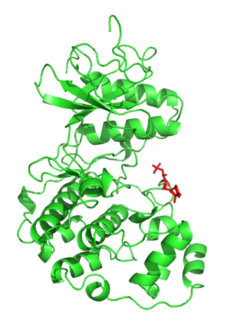 Proteinstruktur von MAPK.