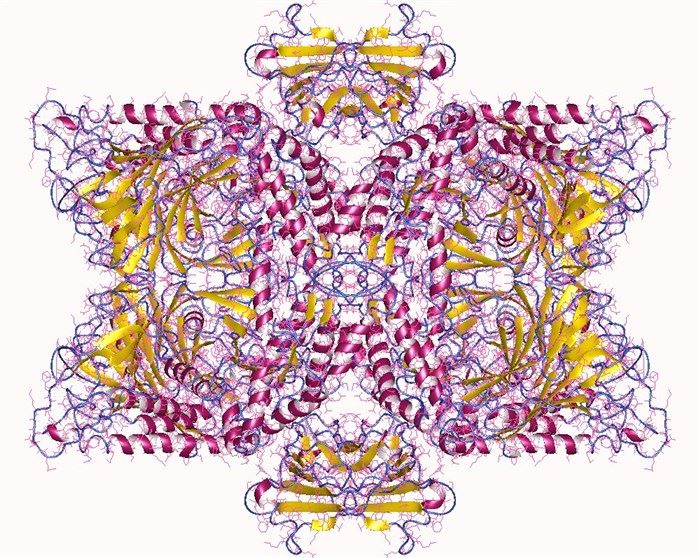 Proteinstruktur der Mannosidase.