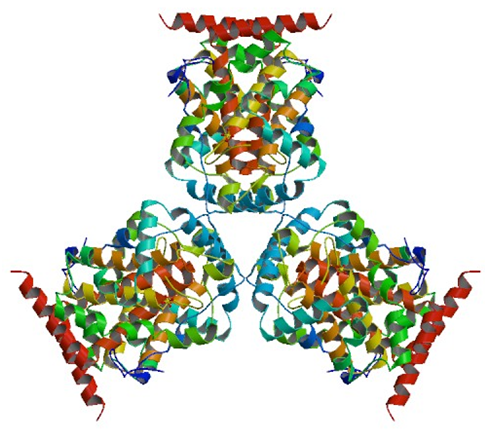 Enzymaktivitätsmessung für saure Phosphatase