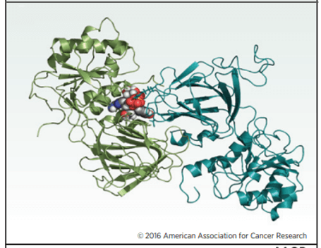 Modell von NAD+ (Raumfüllmodell), das an die menschliche NADK gebunden ist, wobei jedes Monomer grün und cyan gefärbt ist, erstellt mit PyMOL 