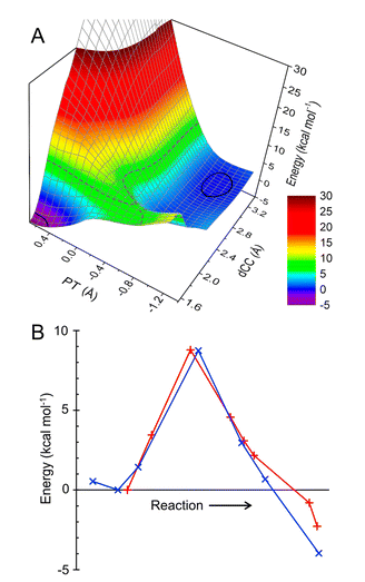 QM/MM-Potentialenergieprofile für die Bildung der Kohlenstoff-Kohlenstoff-Bindung zwischen ManNAc und der Pyruvat-Lys165-Schiff-Basis, mit Tyr137 als Protonenspender