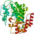 Adenosin-Deaminase, rekombinant