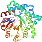 Homocystein-Methyltransferase, rekombinant