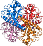 Native Roxburgh Superoxid-Dismutase