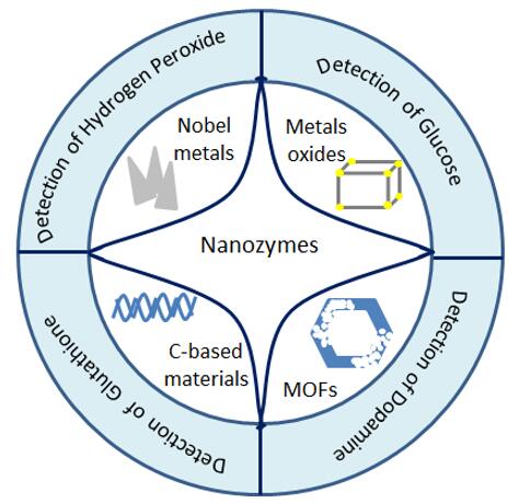 Molekulare Erkennung mit Nanozymen. - Creative Enzymes