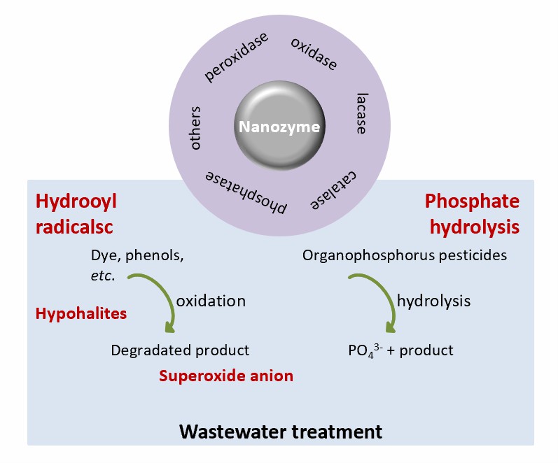 Abwasserbehandlung auf Basis von Nanozymen