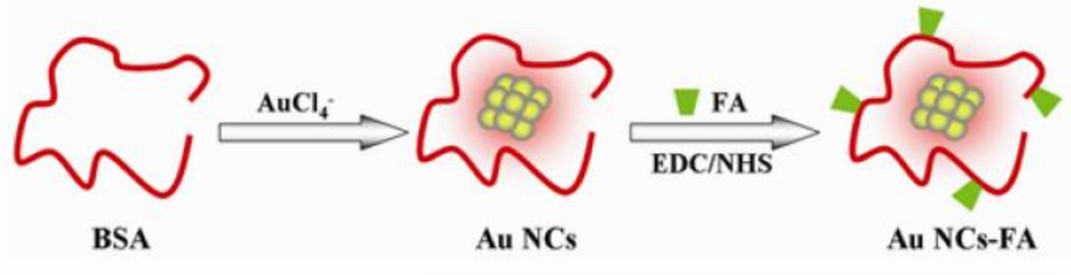 Schematische Darstellung des vorbereiteten Prozesses von Au-basierten Nanoproben. - Creative Enzymes