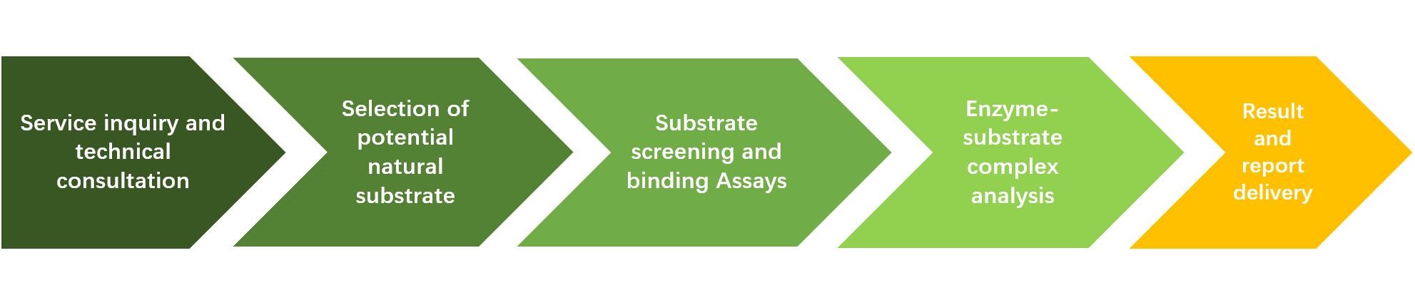 Natürliche Substrate eines Enzyms