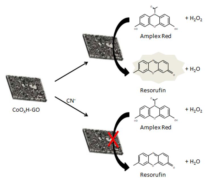 Die typischen Ansätze zur Synthese von CQDs. - Creative Enzymes