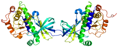 Andere Alpha-Kinase-Familie Kinase