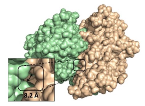 Nahaufnahme des Eingangs zum Kanal, der in den inneren Hohlraum der Pyranose-Oxidase von Trametes ochracea (1TT0) führt