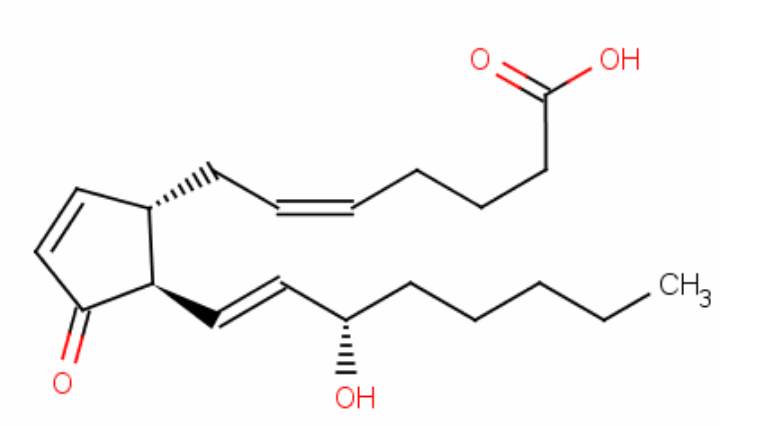 Chemische Struktur der Prostaglandine