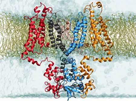 Membranprotein.