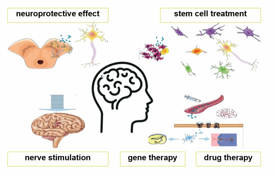 Richtungen der Forschung in der Nanotechnologie zur Behandlung der Parkinson-Krankheit. - Creative Enzymes