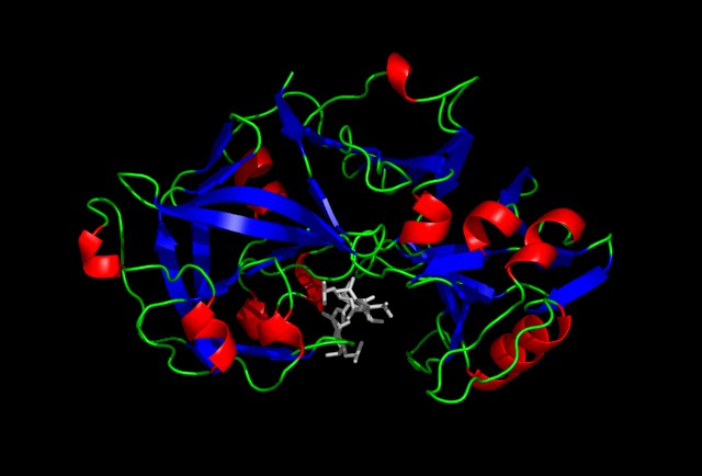 Proteinstruktur von Pepsin.