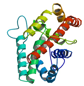 Enzymaktivitätsmessung für Phospholipase C