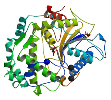 Enzymaktivitätsmessung für 4-Phytase