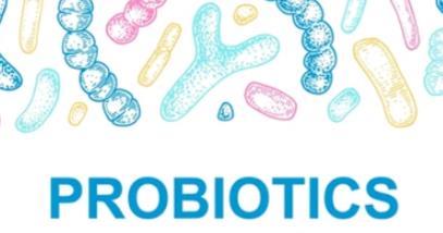 Probiotikum