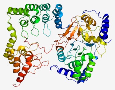 Proteinstruktur von PPP1CB.