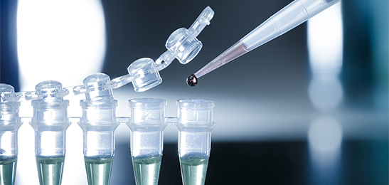 Rekombinante Proteinase K