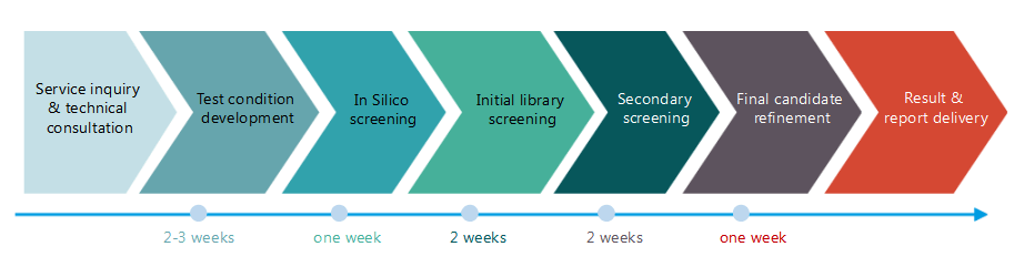 Workflow der Screening-Dienste von Creative Enzymes