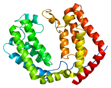 Proteinstruktur von TAF1