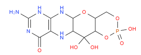 Abbildung: Der Carboxylat-Reduktase-Kofaktor Pyranopterin.