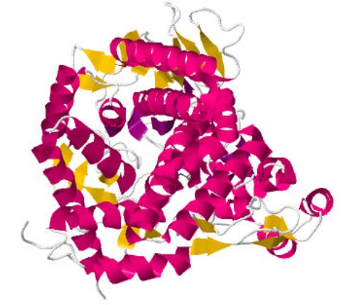 Struktur von Trehalase