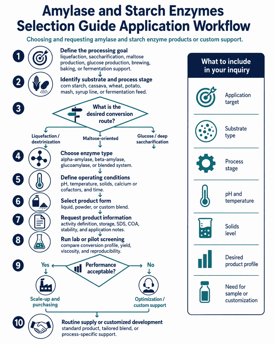 Application workflow for choosing and requesting Amylase and Starch Enzymes Selection Guide products or custom support
